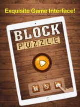 Block Wood Puzzle (Challenge) Image