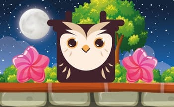 Owl Block Image