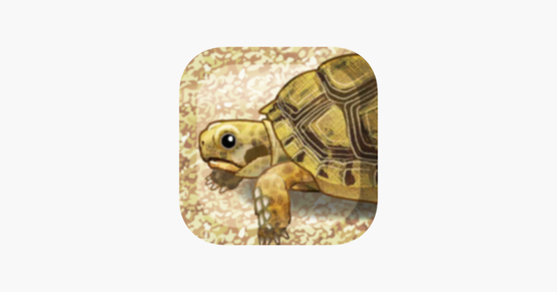 Tortoise Pet Game Cover