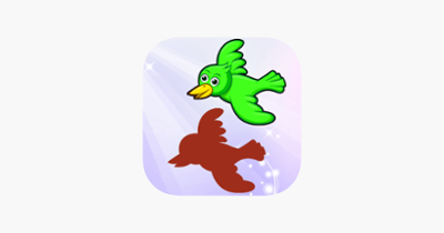 Birds of World Drag Drop and Match Shadow for kids Image