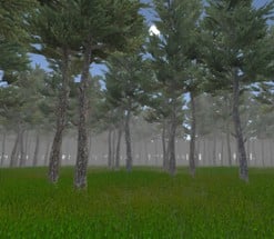 Forest Exploration Image