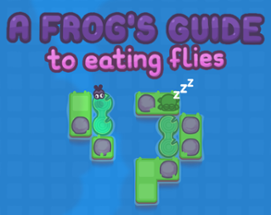 A Frog's Guide To Eating Flies Image