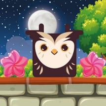 Owl Block Image
