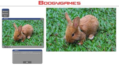 Rabbit: Jigsaw Puzzles Image