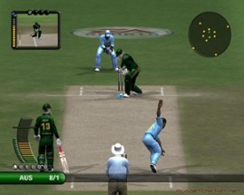 Cricket 07 Image