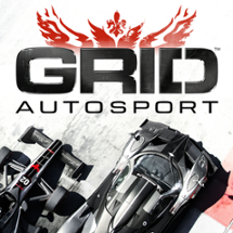 GRID™ Autosport Image
