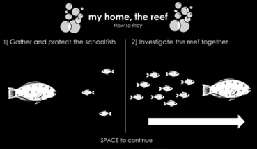 my home, the reef Image