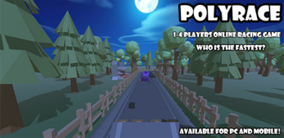 Poly Race Image