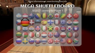 Mega Shuffleboard Image