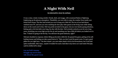 A Night With Neil Image
