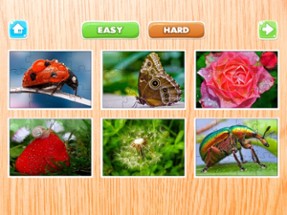 Nature Flowers and Bug Jigsaw Puzzle for Adults Image