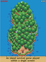 Tiny Island Survival Image