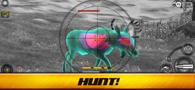 Wild Hunt: Hunter Simulator Image