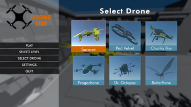 Drone Sim Image