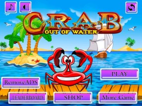 Crab Out of Water Image