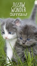 Jigsaw Wonder Kittens Puzzles for Kids Free Image