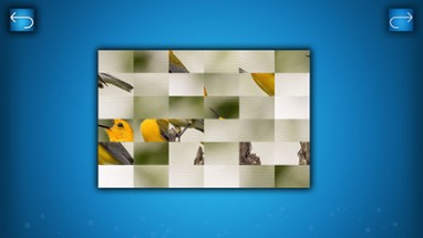 PUZZLE: BIRDS Image