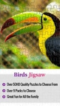 Birds Jigsaw Free - Collection Of Unique Puzzle Pics Of Falcons &amp; Penguins Image