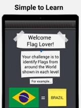Flag Play-Fun with Flags Quiz Image