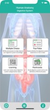 Anatomy : Digestive System Image