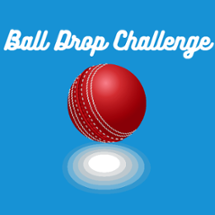 Ball Drop Challenge Image