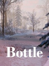 Bottle (2016) Image