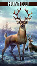 Deer Hunter 2018 Image