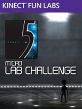 Kinect Fun Labs: 5 Micro Lab Challenge Image