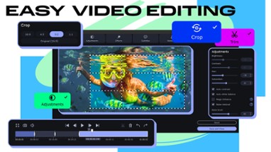 Movavi Video Converter 2024 Image