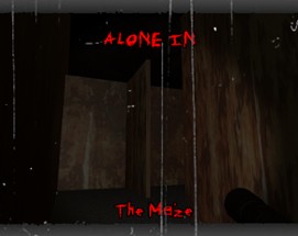 Alone In The Maze Image