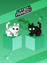 Cat Box Paradox Image