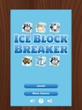 Ice Block Breaker Image