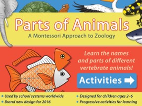 Parts Of Animals (Vertebrates) LITE - A Montessori Approach to Zoology HD Image