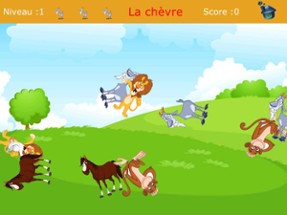 Play and Learn French Image