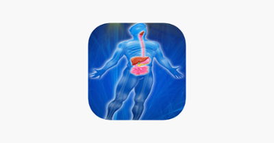 Digestive System Trivia Image