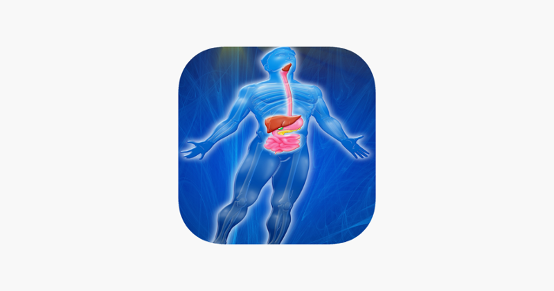 Digestive System Trivia Game Cover