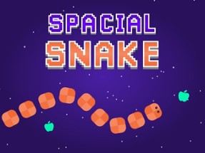 Spacial Snake Image