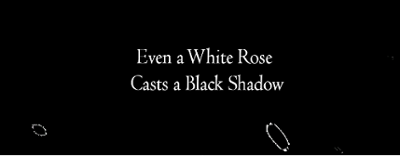 Even a White Rose Casts a Black Shadow Image