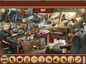 Hidden Objects:The New Home Owners Image