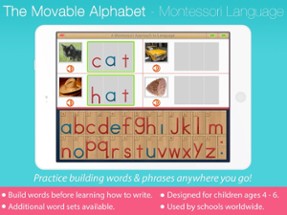 Montessori Movable Alphabet Image