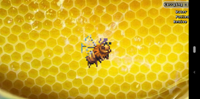 To bee first! Image