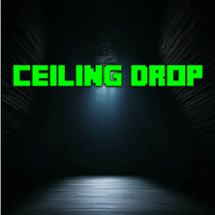 Ceiling Drop Image