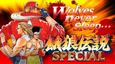 FATAL FURY SPECIAL Image