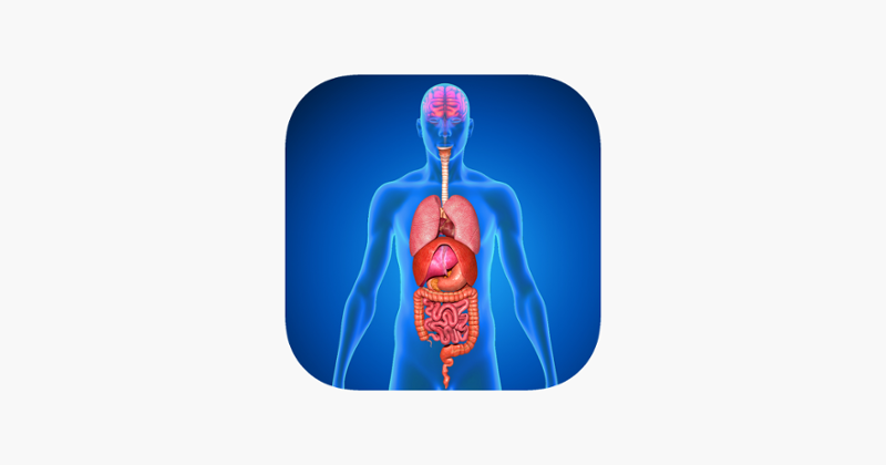 Menschliche Körper Anatomie Game Cover