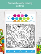 Anti-stress Coloring Book Calm Image