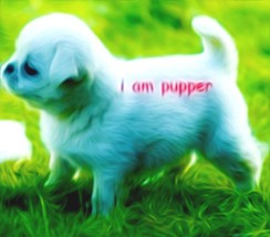 What I Talk About When I Talk About Puppers (2022 edition) Image
