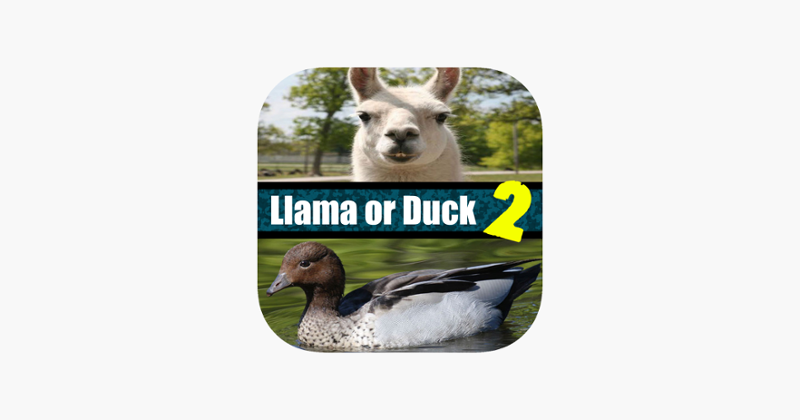 Llama or Duck Quiz 2 Game Cover