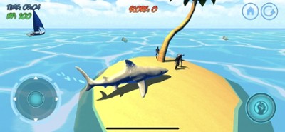 Shark Attack 3D Image