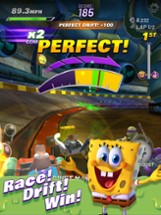 Nickelodeon Kart Racers Game Image