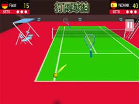 Table Tennis 3D Game 2k17 Image